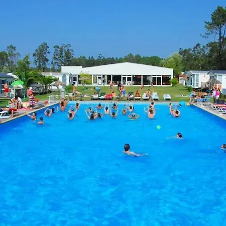 Semesterbostad Comfortable Near With Shared Pool Pataias