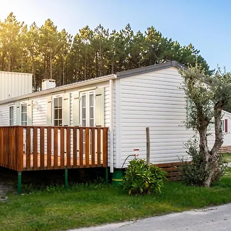 Comfortable Near With Shared Pool Pataias