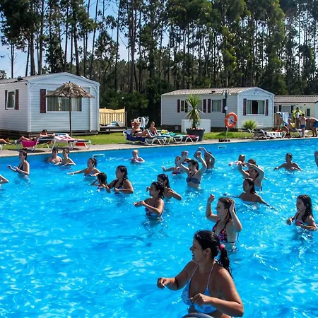Comfortable Near With Shared Pool Pataias